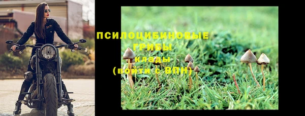 не бодяженный Пересвет