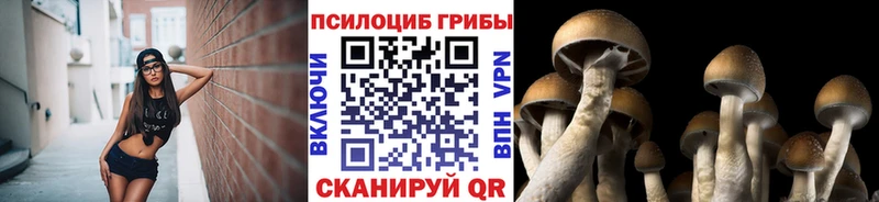 Псилоцибиновые грибы GOLDEN TEACHER  наркошоп  Красный Холм 